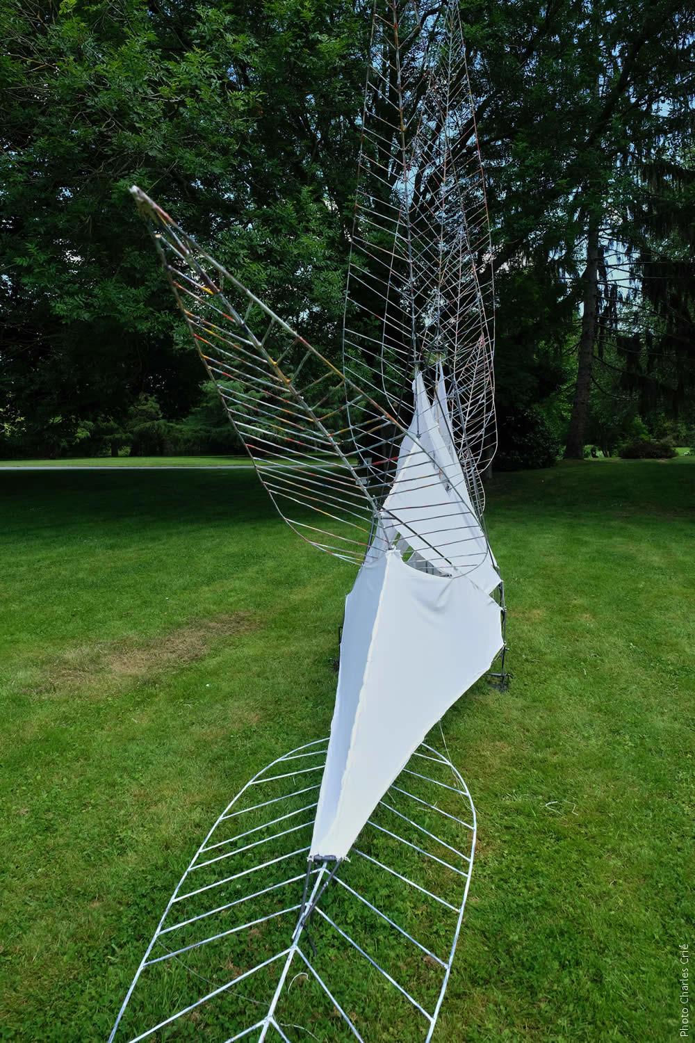 Aile et plume par Alice MORLON – Jardin des Arts 2021