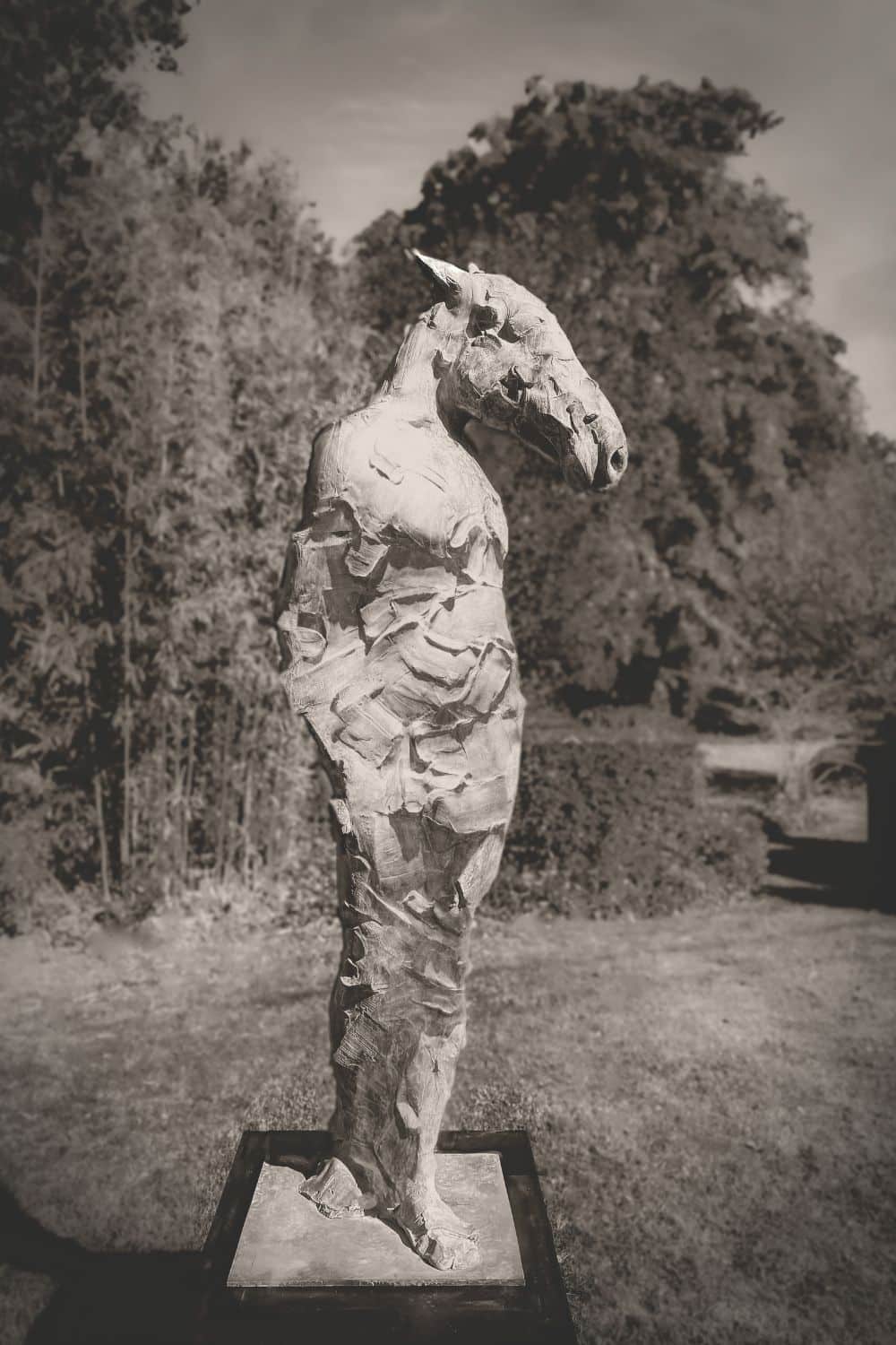 oeuvre jda 2026 cthiry aequanimus