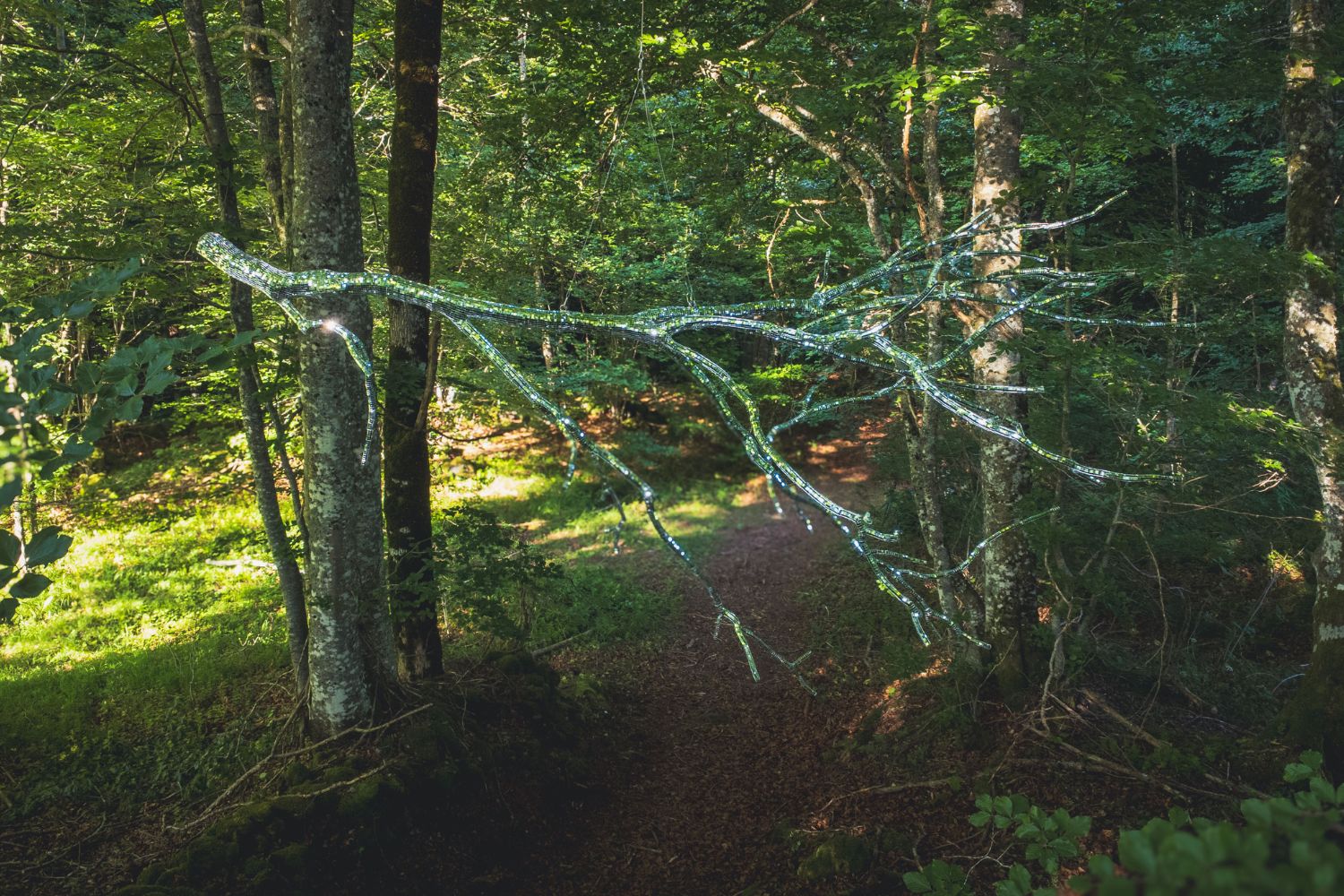 oeuvre jda 2026 the grouples horizons